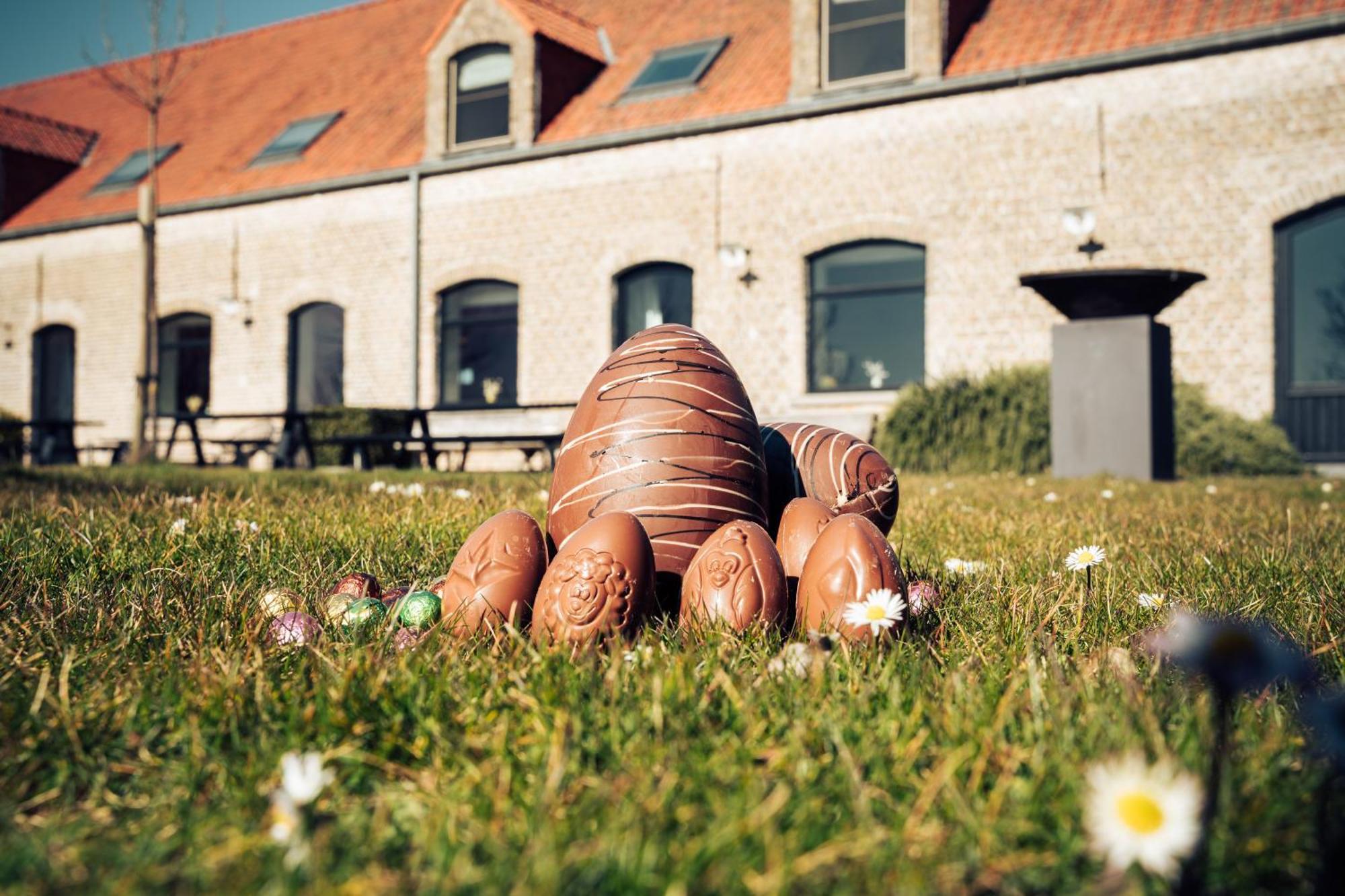 Hoeve Hazegras Holiday home *